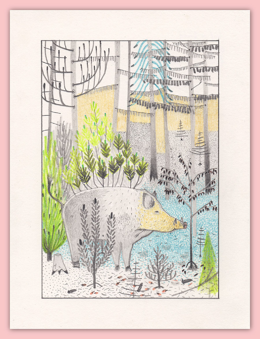 Titel: tief im Wald; Freie Illustrationen,
 Zeichnung mit Bleistift und Buntstift auf Papier,
 Grafik aus Sachsen-Anhalt
